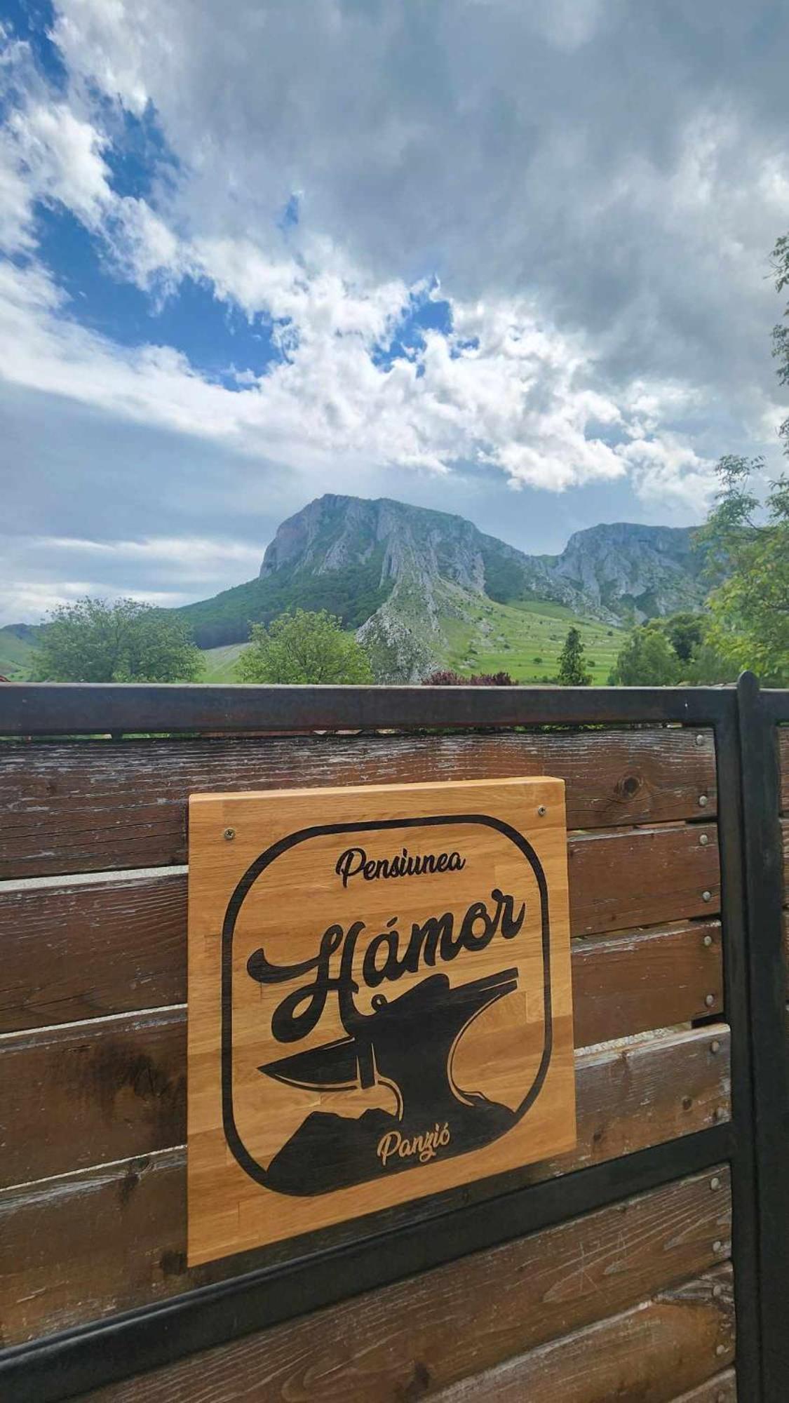 ريميتيا Hamor Panzio المظهر الخارجي الصورة